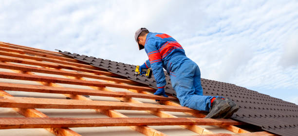Best Roof Coating and Sealing  in Seymour, TN